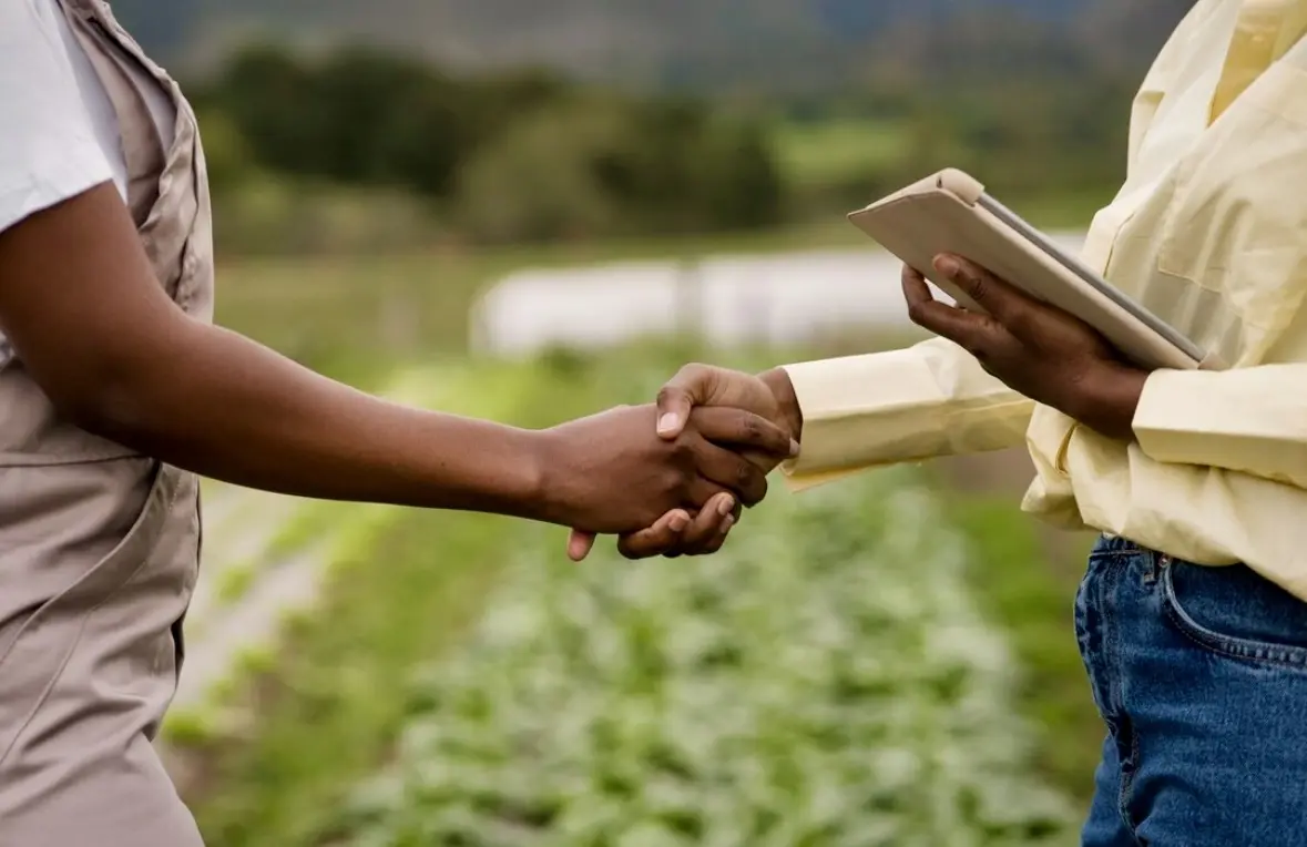 Holding Rural: O que é e quais as suas vantagens?