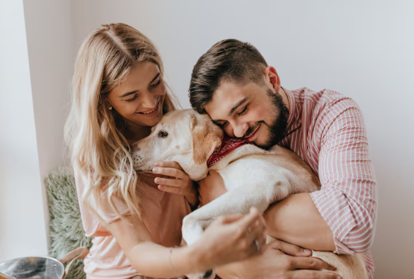 TESTAMENTO: Planeje a sucessão de bens, incluindo pets e empresas familiares