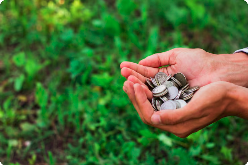 HOLDING RURAL: Garanta a perpetuidade do agronegócio e a tranquilidade da sua família