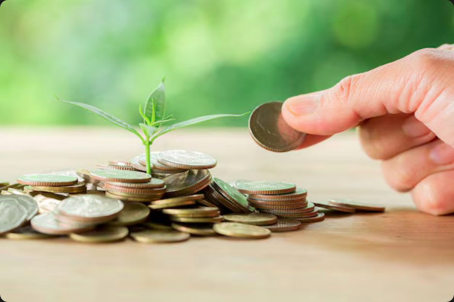 Compliance Rural e Holding: Protegendo sua propriedade e produção na sucessão