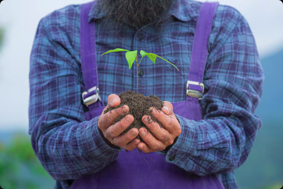  Proteja sua propriedade rural e produção com Compliance Rural e Holding. Garanta segurança jurídica, planejamento sucessório e conformidade ambiental para o agronegócio.
