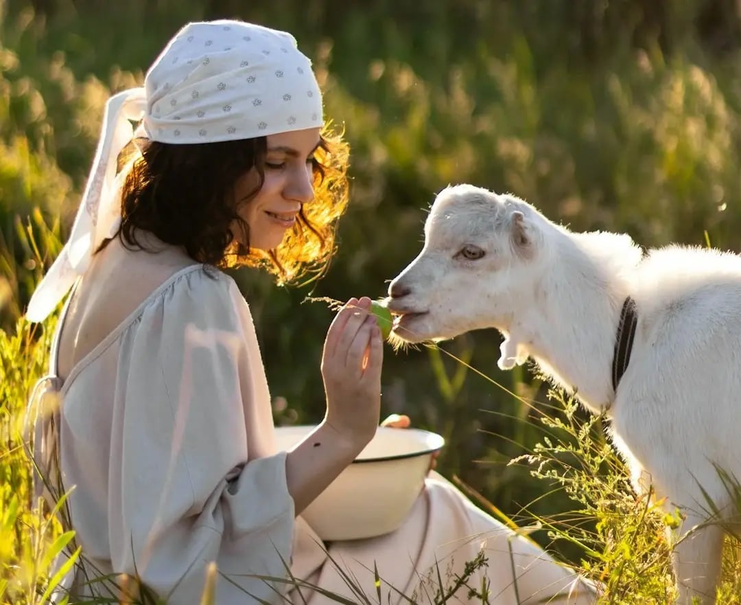 como-incluir-animais-de-estimação-no-seu-testamento