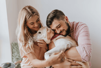  Crie seu Testamento e planeje a sucessão de bens, pets e empresas familiares com a Herdei.