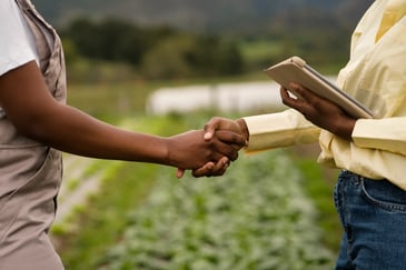 Inventário de bens rurais: saiba como funciona todo esse processo. | Foto: Freepik.